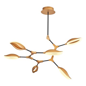 LED-taklampa med stång ASTI 6xLED/7W/230V 3000K guldig