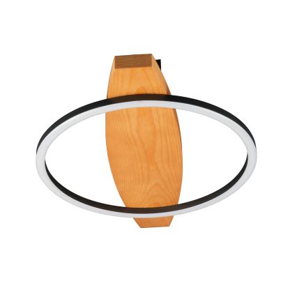 LED taklampa MELISA LED/12W/230V 30x40 cm furu