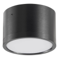 LED taklampa MIRELLA 1xGX53/6W/230V svart