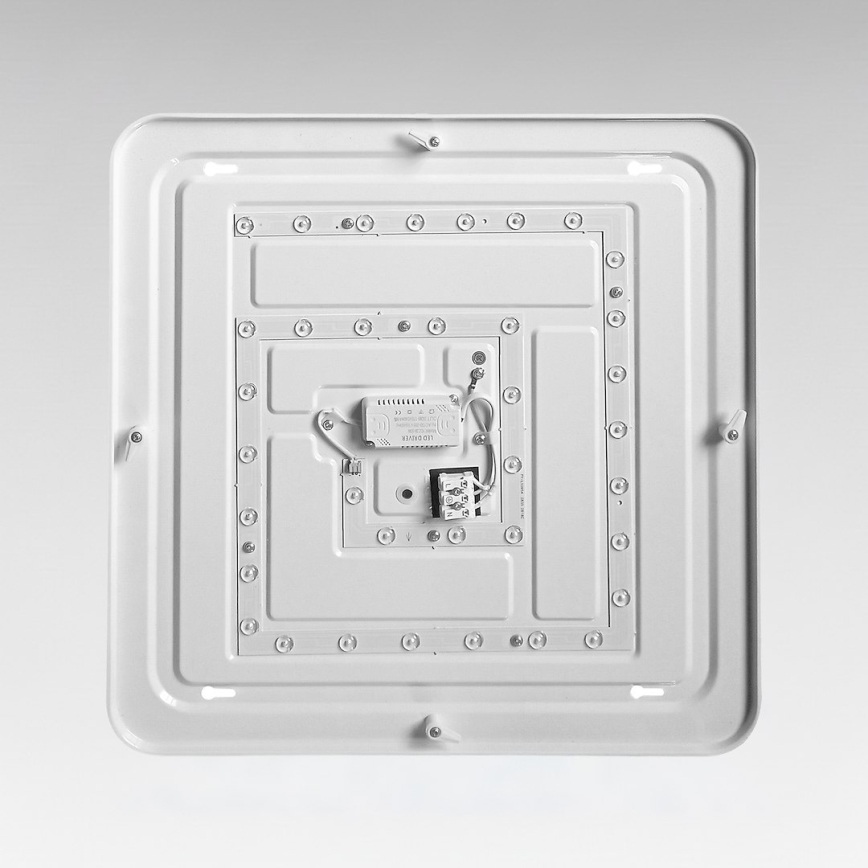 LED taklampa NEMO LED/36W/230V 50x50 cm blank krom