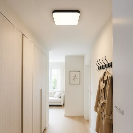 LED-taklampa NEMO LED/36W/230V 50x50 cm svart