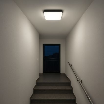 LED-taklampa NEMO LED/36W/230V 50x50 cm svart