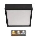 LED Taklampa NEXXO LED/12,5W/230V 3000/3500/4000K 17x17 cm svart