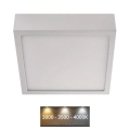 LED Taklampa NEXXO LED/12,5W/230V 3000/3500/4000K 17x17 cm vit