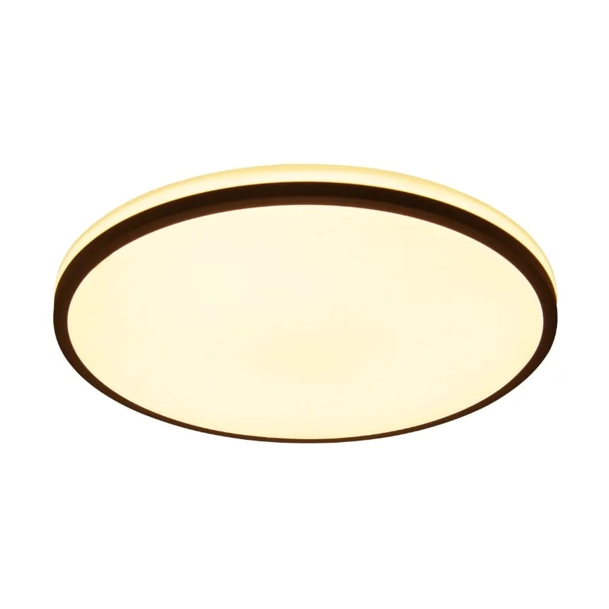 LED Dimbar taklampa OPAL LED/48W/230V 3000-6500K + fjärrkontroll