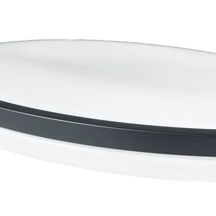 LED Dimbar taklampa OPAL LED/48W/230V 3000-6500K + fjärrkontroll