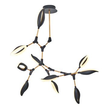 LED-taklampa på stång ASTI 10xLED/7W/230V 3000K svart
