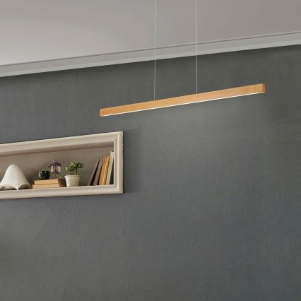 LED-taklampa på vajer VERDE LED/18W/230V 3000K 106 cm ek