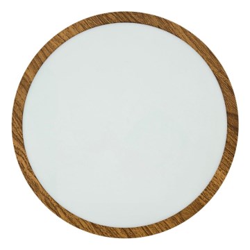 LED taklampa RING LED/24W/230V 4200K diameter 28,5 cm brun