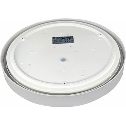 LED taklampa SAMER LED/24W/230V 4000K