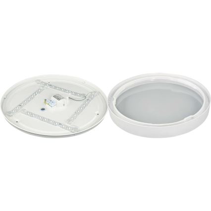 LED taklampa SAMER LED/24W/230V 4000K