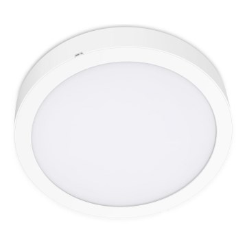 LED taklampa SIGARO CIRCLE LED/18W/230V 4000K IP40