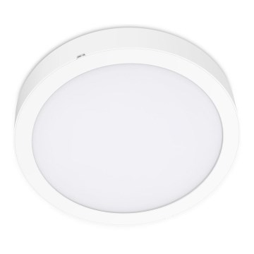 LED taklampa SIGARO CIRCLE LED/24W/230V 4000K IP40