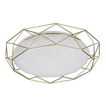 LED taklampa SVEN LED/24W/230V