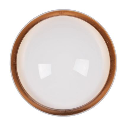 LED taklampa TULUZA LED/24W/230V diameter 40 cm vit