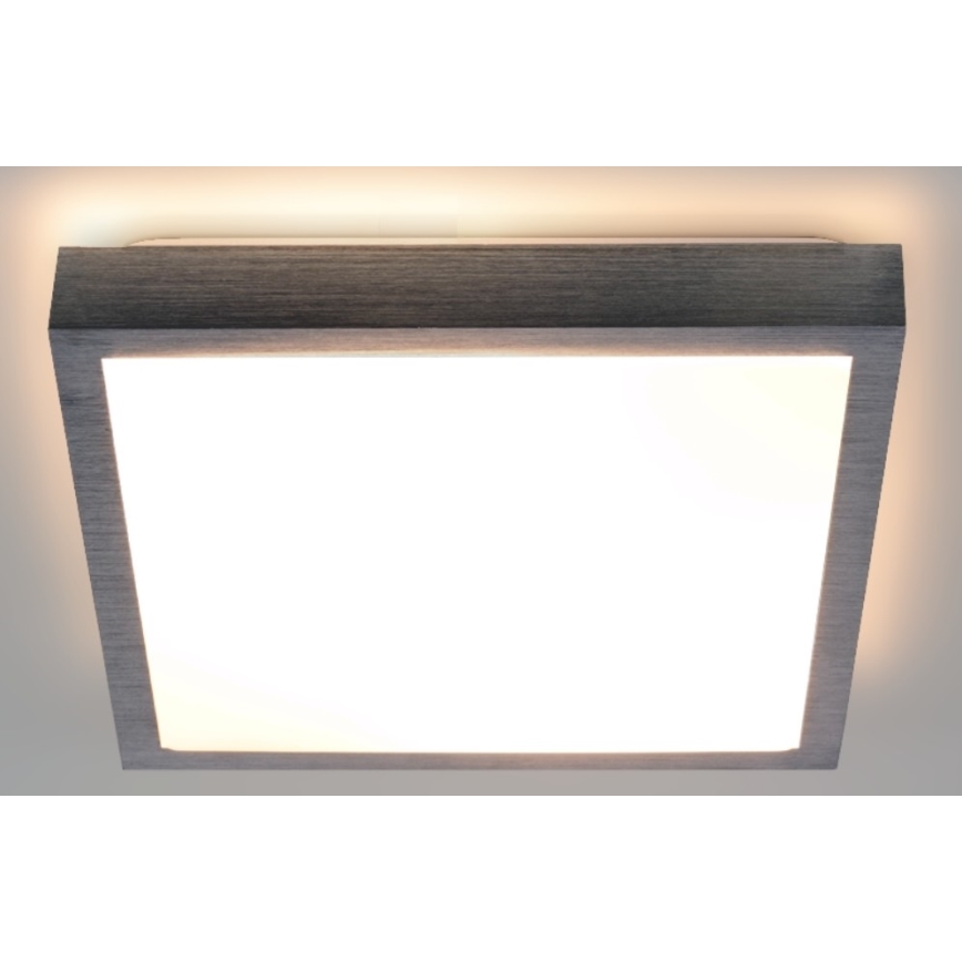 LED taklampa VITAL LED/24W/230V matt krom