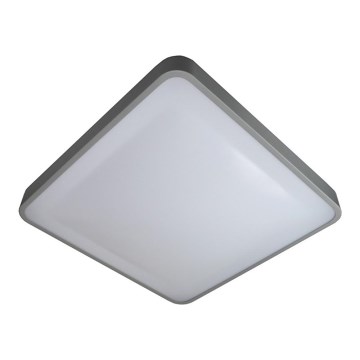 LED taklampa WILTON LED/24W/230V 37,5x37,5 cm grå