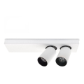 LED Takpotlight BERGEN 2xLED/11W/230V