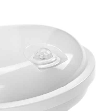 LED teknisk armatur med PIR-sensor LED/20W/230V IP54