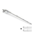 LED teknisk lysrörsarmatur T8 2xG13/18W/230V 6500K IP65 127 cm
