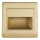 LED trappbelysning STEP LIGHT NET LED/1,5W/30V guld