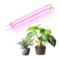 LED Under-shelf Plant Growing Light GROWLY 2xLED/8,5W/230V vit
