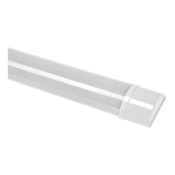 LED underskåpsarmatur VIGA LED/14W/230V 3000K vit