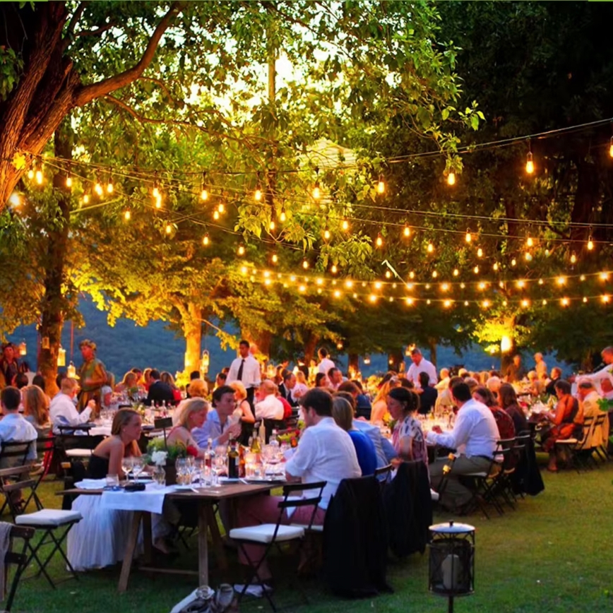 LED Utomhus dekorationskedja 20xE27/1W/230V 10 m IP65 svart