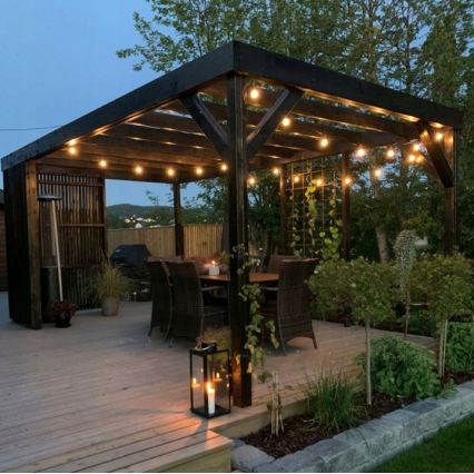 LED utomhus dekorationsljusslinga 20xE27/1W/230V 11,44 m IP44 svart