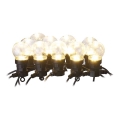 LED utomhus dekorationsslinga 10xLED/10m IP44 klar