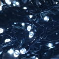 LED Utomhus Julbelysning 10 m 100xLED/3,6W/230V IP44