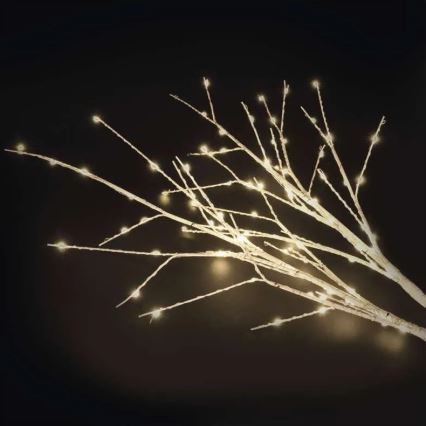 LED utomhus julbelysning 100xLED/3xAA varmvit IP44