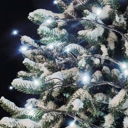 LED utomhus julslinga 100xLED/10m IP44 kallvit