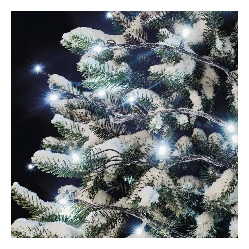 LED utomhus julslinga 50xLED/5m IP44 kallvit
