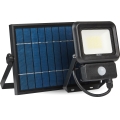 LED Utomhus solreflektor med sensor LED/20W/3,7V 6500K IP65 4400 mAh
