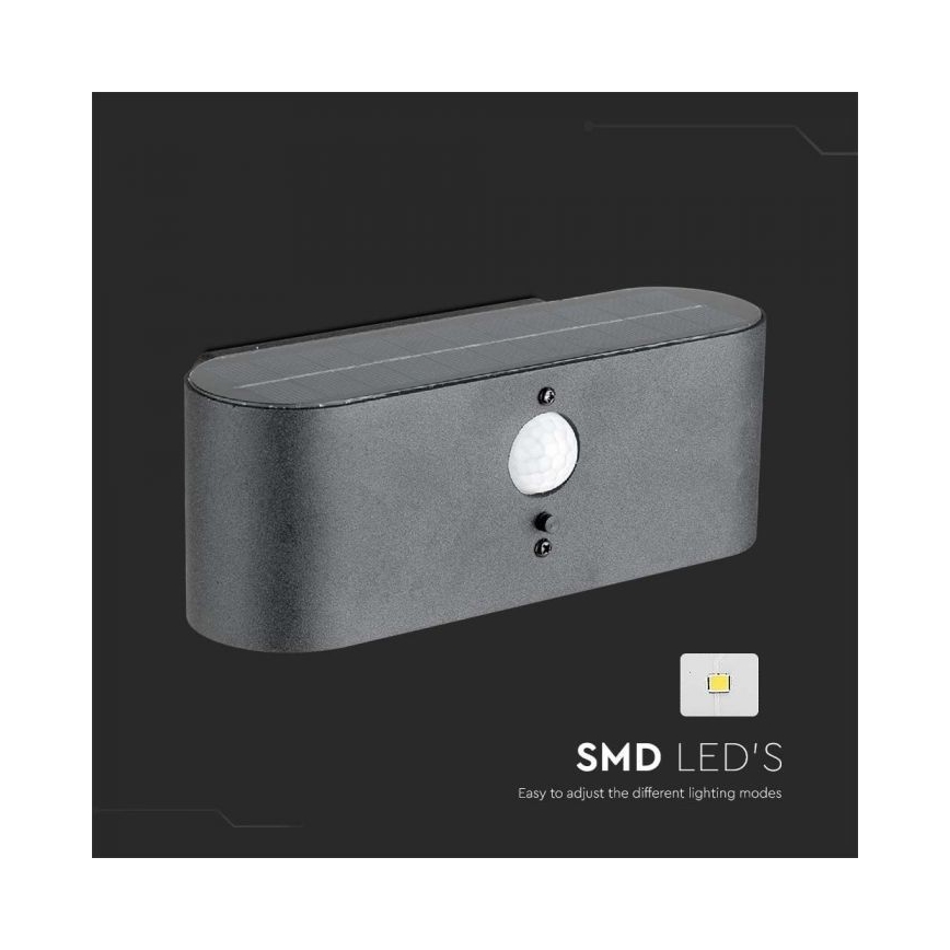 LED Utomhus solvägglampa med sensor LED/2,5W/3,7V 3000K IP54 2000 mAh