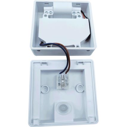 LED Utomhus Strålkastare med sensor FLIP LED/10W/230V IP65