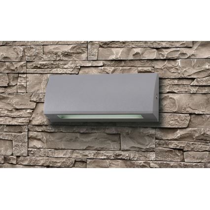 LED Utomhus Väggbelysning LED/10W/230V IP54