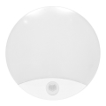 LED Utomhus Väggbelysning med sensor LORA LED/15W/230V IP44