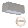 LED Utomhus Vägglampa LED/12W/230V 4000K IP65
