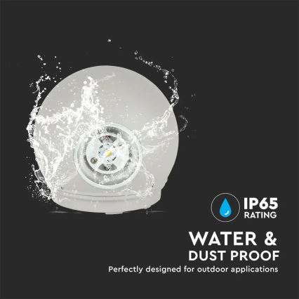 LED Utomhus Vägglampa LED/6W/230V 3000K IP65 grå