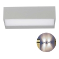 LED Utomhus Vägglampa LED/9W/230V 6400K IP65