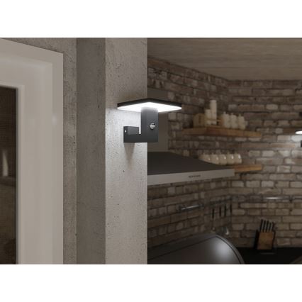 LED Utomhus vägglampa med sensor BARI LED/10W/230V 4000K IP54 antracit