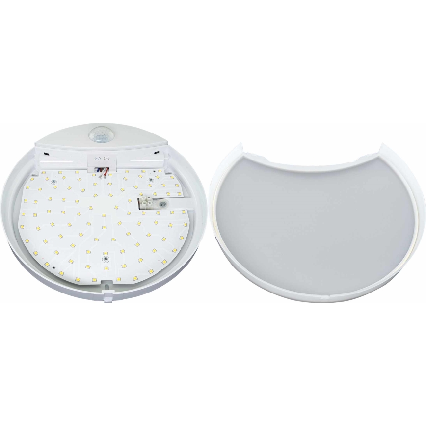 LED Utomhus vägglampa med sensor HIBIS LED/15W/230V IP44