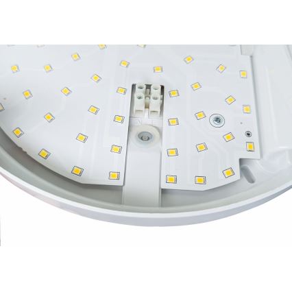 LED Utomhus vägglampa med sensor HIBIS LED/15W/230V IP44