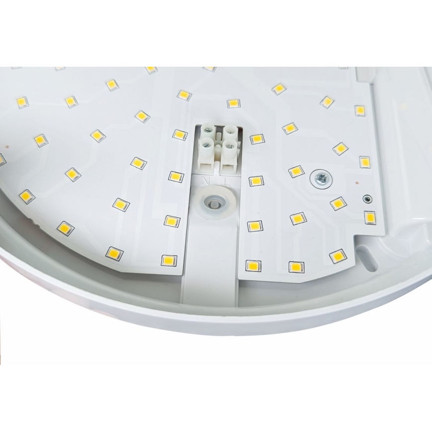 LED Utomhus vägglampa med sensor HIBIS LED/15W/230V IP44