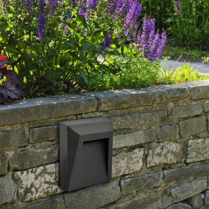 LED Utomhus trappbelysning HOLDEN LED/1W/230V IP65 antracit