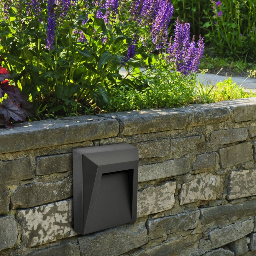 LED Utomhus trappbelysning HOLDEN LED/1W/230V IP65 antracit