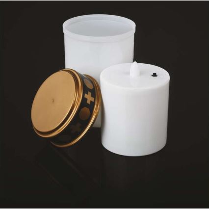 LED utomhusdekoration LED/2xC IP44 vit