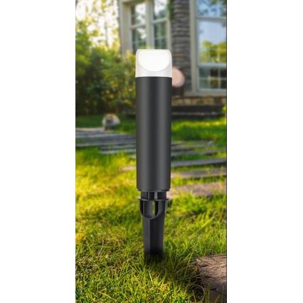 LED Utomhuslampa LED/3W/230V 2800K IP65